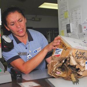 Carcass (feat. Yung Slug) (Explicit)