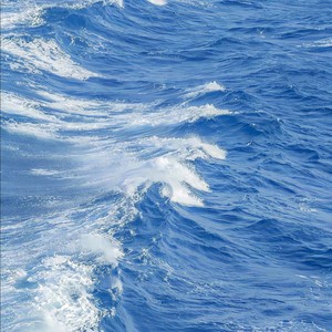 我知道你很努力才走到现在