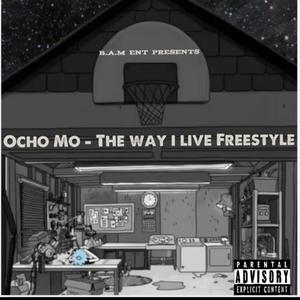 The Way I Live (Freestyle) [Explicit]