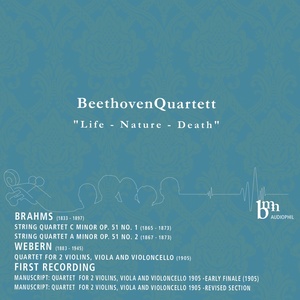 BeethovenQuartett - String Quartet in C Minor, Op. 51 No. 1 - III. Allegretto molto moderato e comodo