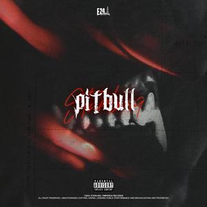 Pitbull (Explicit)