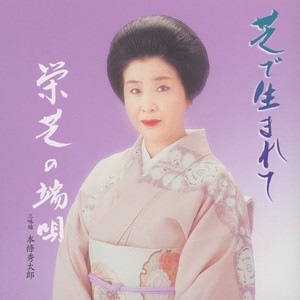 萩桔梗