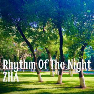 Rhythm Of The Night