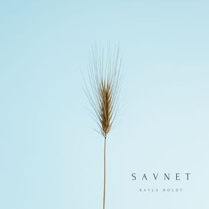 Savnet