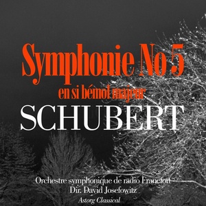 Symphony No.5 in B Flat Major D. 485 - I. Allegro