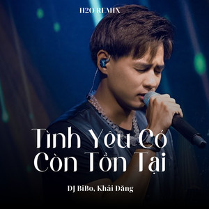 Tình Yêu Có Còn Tồn Tại (DJ Bibo Remix)