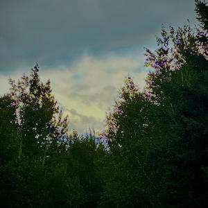 Chills (feat. IV.) (Explicit)