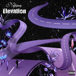 Elevation (Explicit)