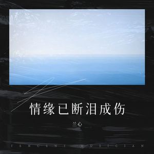 情缘已断泪成伤 (伴奏)