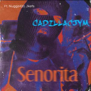 Señorita (Explicit)