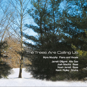 Sheltering Elm(feat. Jarrett Gilgore, Noah Jarrett & Kevin Ripley)