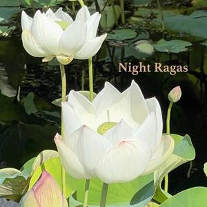 Night Ragas