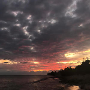 fantasies (feat. ripactavis) (Explicit)