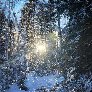 Beauty And A Beat(超燃硬曲)