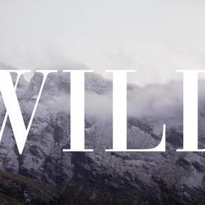WILD (feat. Lov3do)