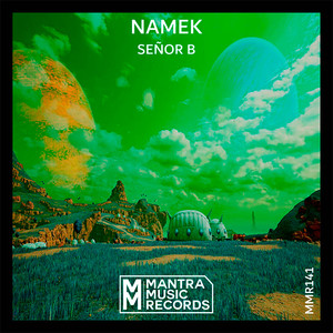 Señor B - Namek