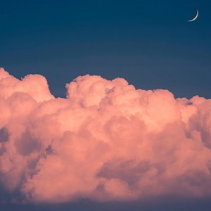 会开花的云-王越安