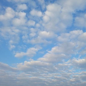 同一个世界 同一个华夏