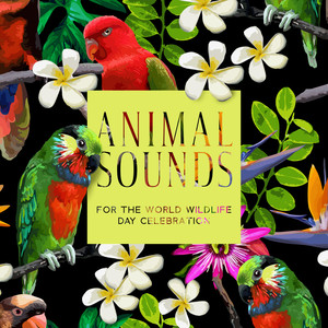 animal sounds for the world wildlife day celebration - exotic