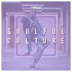 Zepherin Saint presents Soulful Culture, Vol. 1