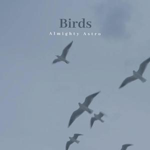 Birds (Explicit)