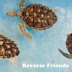 Reverse Friends