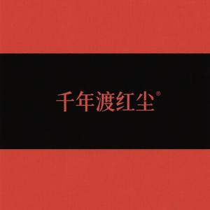 千年渡红尘 (dj鹏版)