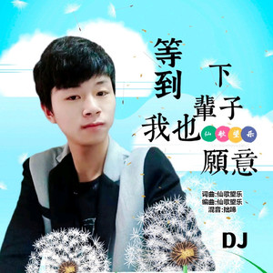 等到下辈子我也愿意DJ