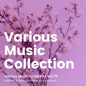 Various Music Collection Vol.75 -Selected & Music-Published by Audiostock-