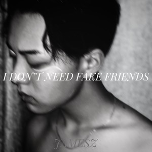 I Don't Need Fake Friends（虚情假意的人请离开）