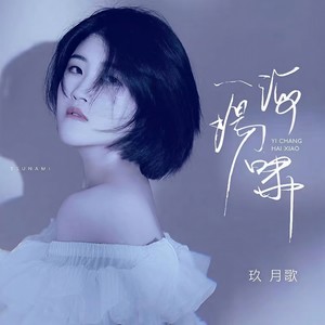 一场海啸 (DJ版)