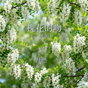 槐花的吻 (男版)
