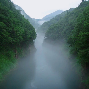 十二小节布鲁斯