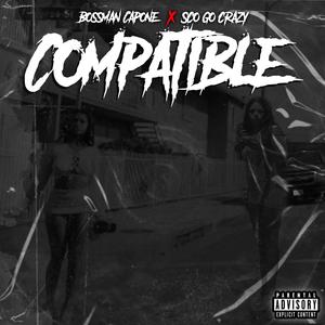 Compatible (feat. Sco Go Crazy) [Explicit]