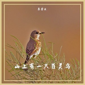 山上有一只百灵鸟