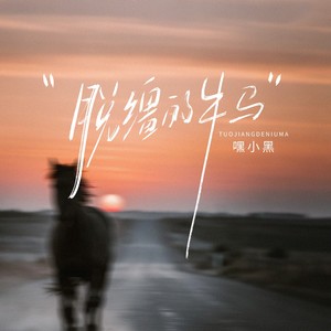 脱缰的牛马 (DJ阿尼版)
