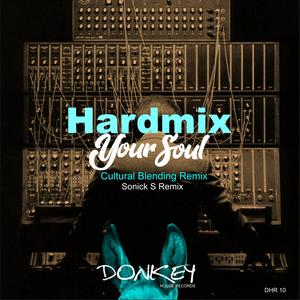 Your Soul (Sonick S Slow Vocal Mix)