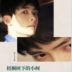 梧桐树下的小柯