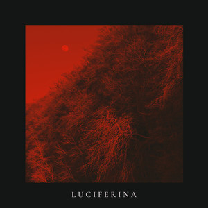 Luciferina