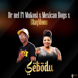 Sebodu (feat. Mukosi, Blaqmoon & Mexican boys)