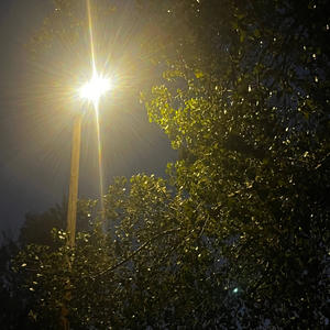 girl, i'm no expert. (Mosiac Sol)