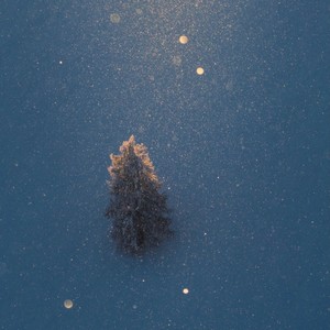 一直很安静（给你的爱一直很安静）