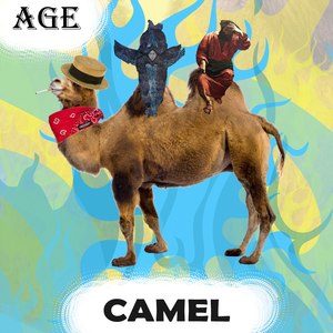 Camel