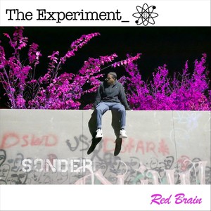 The Experiment (Explicit)