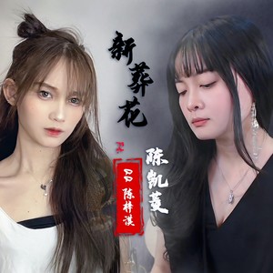 新葬花 (伴奏)