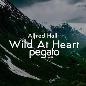 Wild at Heart (Pegato Remix)