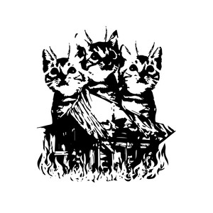 Кошкин дом