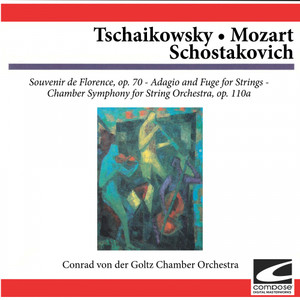 Schostakovich: Chamber - Symphony for String Orchestra, Op. 110a - Largo (feat. Conrad von der Goltz)