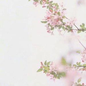 『红颜劫』叙世