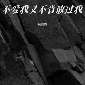 不爱我又不肯放过我 (撕心裂肺版)